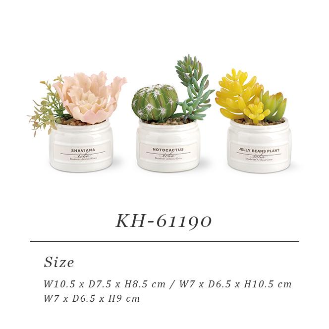 フェイクグリーン 卓上 置き型 消臭 防汚 抗菌 3個入り 観葉植物 アーティフィシャルグリーン 多肉 プレゼント ギフト キシマ KH-61189 KH-61190(ki3a014) |  | 09