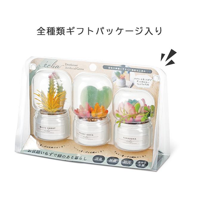 フェイクグリーン 卓上 置き型 消臭 防汚 抗菌 3個入り 観葉植物 アーティフィシャルグリーン 多肉 プレゼント ギフト キシマ KH-61189 KH-61190(ki3a014) |  | 10