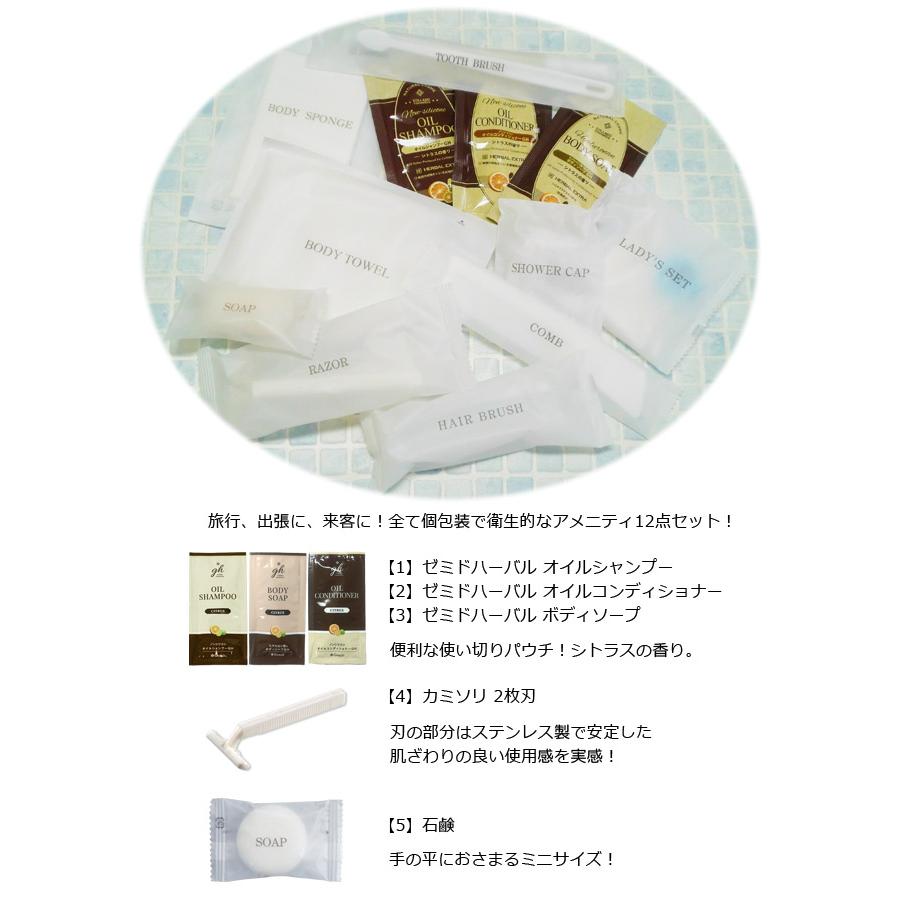 ホテルアメニティ 12点セット 1点迄メール便OK(ma0a094)【セット