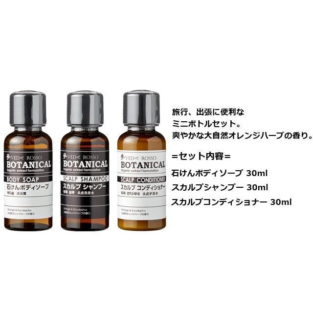 Veda Rosso ヴェーダロッソ ボタニカル ミニボトルセット Ppケース入 シャンプー コンディショナー ボディソープ 30ml Ma0a098 Ma0a098 スーツケースと旅行用品のgriptone 通販 Yahoo ショッピング