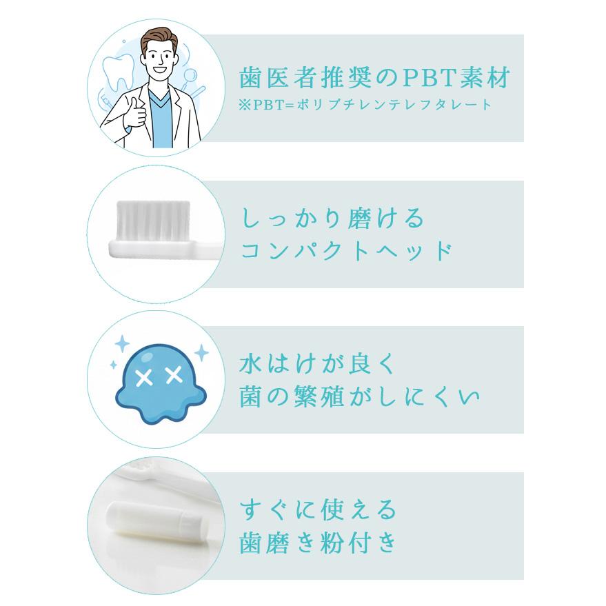 使い捨て ハブラシ 歯磨き粉付き ブロッサムシリーズ 300個単位 歯ブラシセット ホテル アメニティ 個包装 白 旅行用 PBT-05-300(ma0a134)【セット】 | ブランド登録なし | 02