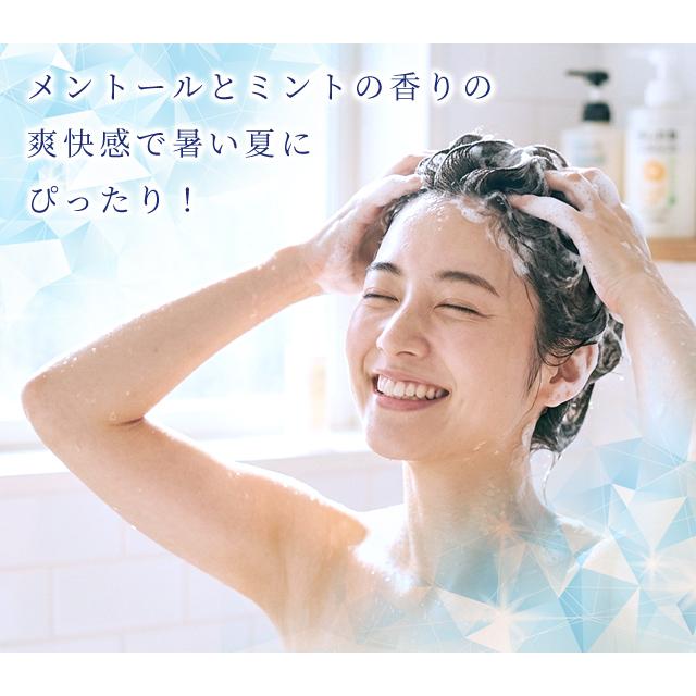 冷感 頭皮パック シャンプー パウチ 12ml お試し 1個単位 ホテルアメニティ 旅行 ひんやり ミント メントール 11853540 日本製 30点迄メール便OK(ma0a154) |  | 01