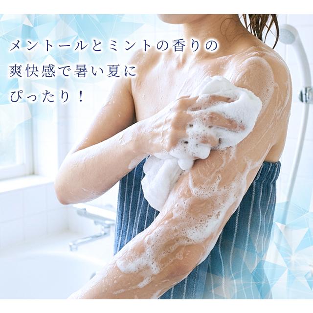 冷感 ボディソープ パウチ 12ml お試し 1個単位 ホテル アメニティ 旅行 トラベル ひんやり ミント メントール 11853550 日本製 30点迄メール便OK(ma0a157) |  | 01