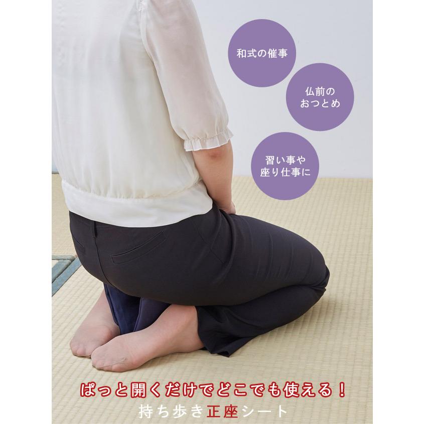 持ち歩き 正座シート 日本製 正座椅子 折りたたみ 携帯用 (ra1a101) |  | 01