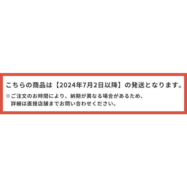 非常食 最大5年保存 マジックパスタ ミートパスタ 20食セット 65g 保存食 サタケ アルファ化スパゲッティ 洋食 洋風 防災 備蓄 1FMR51003AE(sa0a144) |  | 04