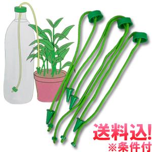 「レビュー記入でメール便送料無料」留守宅自動給水やり機 給水番 kyusuiban-mail(1通につき4点迄)(sa3a002) | 