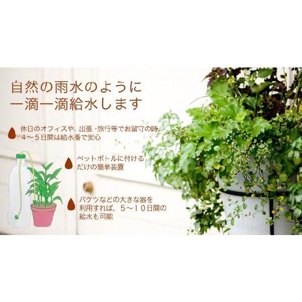 「レビュー記入でメール便送料無料」留守宅自動給水やり機 給水番 kyusuiban-mail(1通につき4点迄)(sa3a002) |  | 01