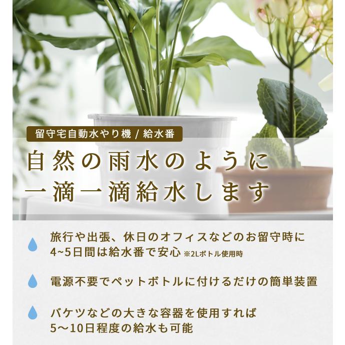 「レビュー記入でメール便送料無料」留守宅自動給水やり機 給水番 旅行 ペットボトル 電源不要 植物 鉢植え プランター 園芸用品 kyusuiban-mail(sa3a002) |  | 01
