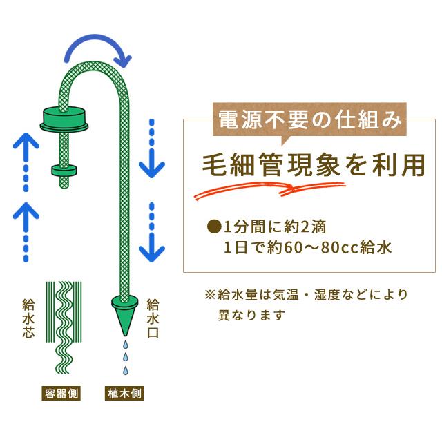 「レビュー記入でメール便送料無料」留守宅自動給水やり機 給水番 旅行 ペットボトル 電源不要 植物 鉢植え プランター 園芸用品 kyusuiban-mail(sa3a002) |  | 02