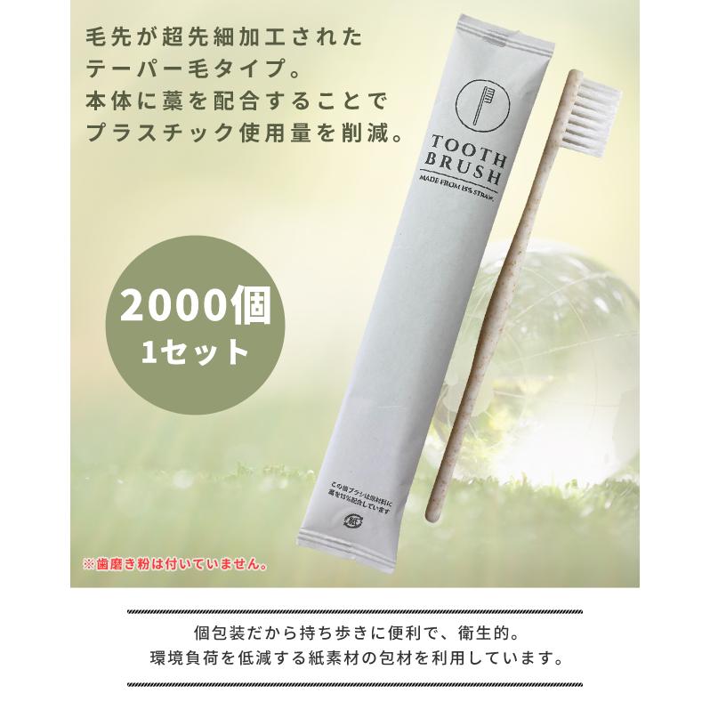 業務用 使い捨て 歯ブラシ エコ 個包装 2000個 1セット 紙袋入り 先細 三和 ホテル アメニティ 2000本入 衛生 まとめ買い 旅行 防災用品 TB-006ECO(sa7a073) | ブランド登録なし | 01