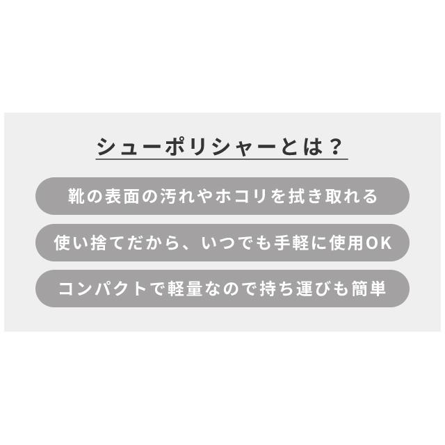 靴磨き 紙製 4000枚 1セット シューポリシャー 携帯 手入れ シューケア 使い捨て 三和 4000枚単位 革靴 パンプス ホテル アメニティ 業務用 SP-0011P(sa7a075) | ブランド登録なし | 02