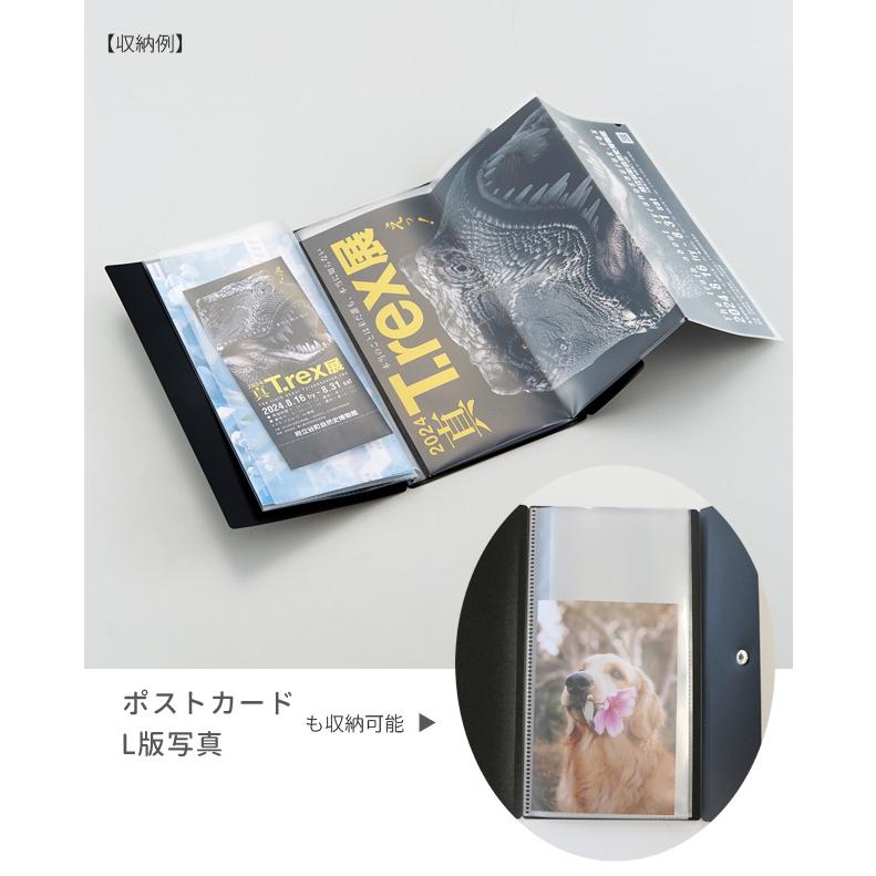 A4 三つ折り ファイル Collel リーフレットホルダー パンフレット 半券 収納 薄型 スリム 旅行 チケットホルダー F-481 リヒトラブ 4点迄メール便OK(si1a176) |  | 05