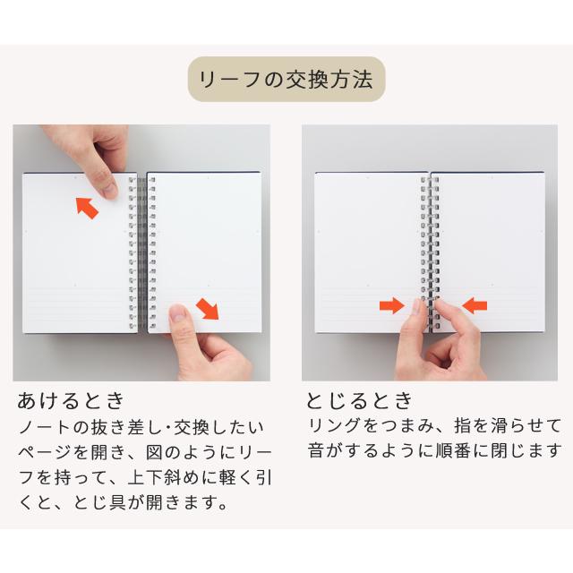 リヒトラブ オープンリングノート＜適合リーフ＞ スタンプ用 [N-380 スタンプノート専用] A6 17穴 20枚 リフィル N-1663TS 8点迄メール便OK(si1a211) |  | 05