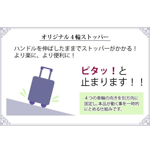 スワニー SWANY キャリーバッグ ショッピングカート 横押しカート ソフト キャリーケース トート 機内持ち込み ジップ7 TS15サイズ D-583-ts15(su1a029)「C」 |  | 09