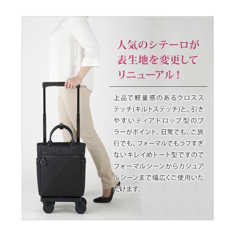 美品 送料無料 SWANY スワニー ショッピングカート シテーロIII SWANY（キャリーバック） スワニー キャリーバッグ 公式