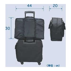 レビュー記入でメール便送料無料」SWANY スワニー バッグ サブバッグ