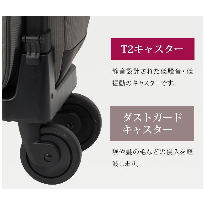 SWANY（キャリーバック） SWANY(スワニー)ルバンド 42cm D-640