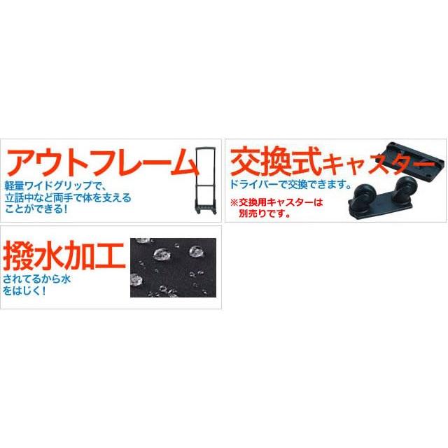 スワニー SWANY キャリーバッグ 近沢レース店 コラボ ショッピングカート ソフト 機内持ち込み ストッパー フローレンス L21サイズ D-644-l21(su1a186)「C」 | SWANY（キャリーバック） | 01