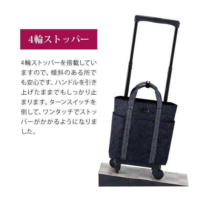 極美品 ストッパー付き 現行最新モデル SWANY スワニー  ユベーロIII 極美品 ストッパー付き 現行最新モデル SWANY スワニー ユベーロ