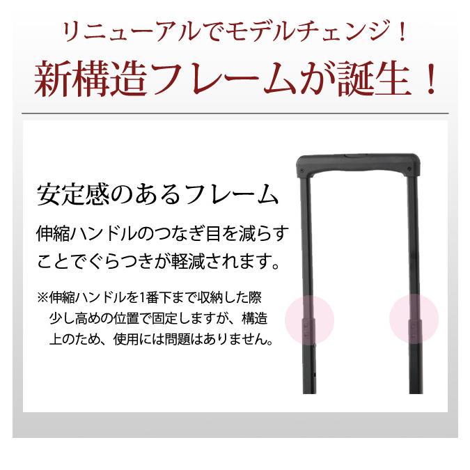 スワニー SWANY キャリーバッグ ルバンド ショッピングカート 横押しカート ソフト キャリーケース 機内持ち込み TS18サイズ D-675-TS18(su1a229)「C」 | SWANY（キャリーバック） | 09