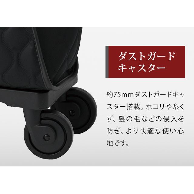 スワニー SWANY キャリーバッグ ショッピングカート ソフト キャリーケース トート 機内持ち込み プーフォ TS18 D-676-TS18(su1a231)「C」 | SWANY（キャリーバック） | 07