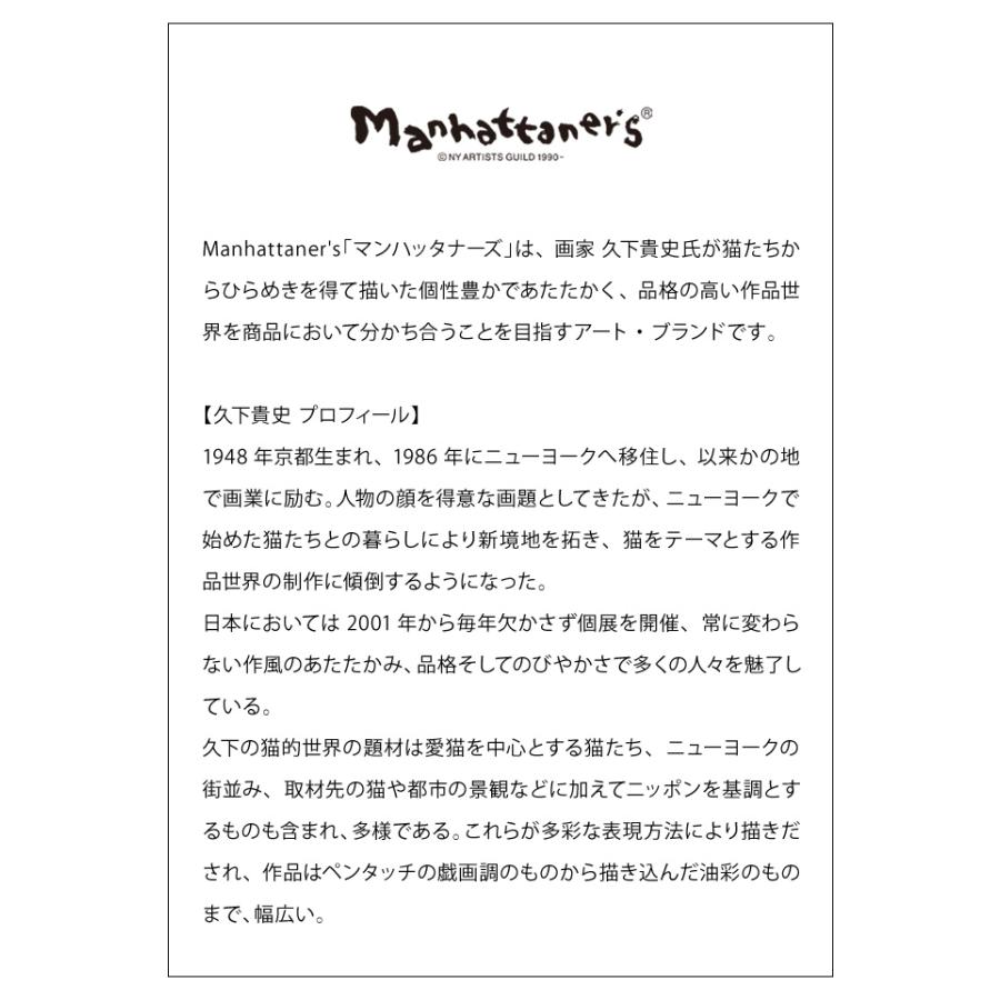 スワニー SWANY 猫 柄 ショッピングカート ソフト キャリーバッグ キャリーケース トート 機内持ち込み マンハッタナーズ TS18 D-627-ts18(su1a240)「C」 | SWANY（キャリーバック） | 08