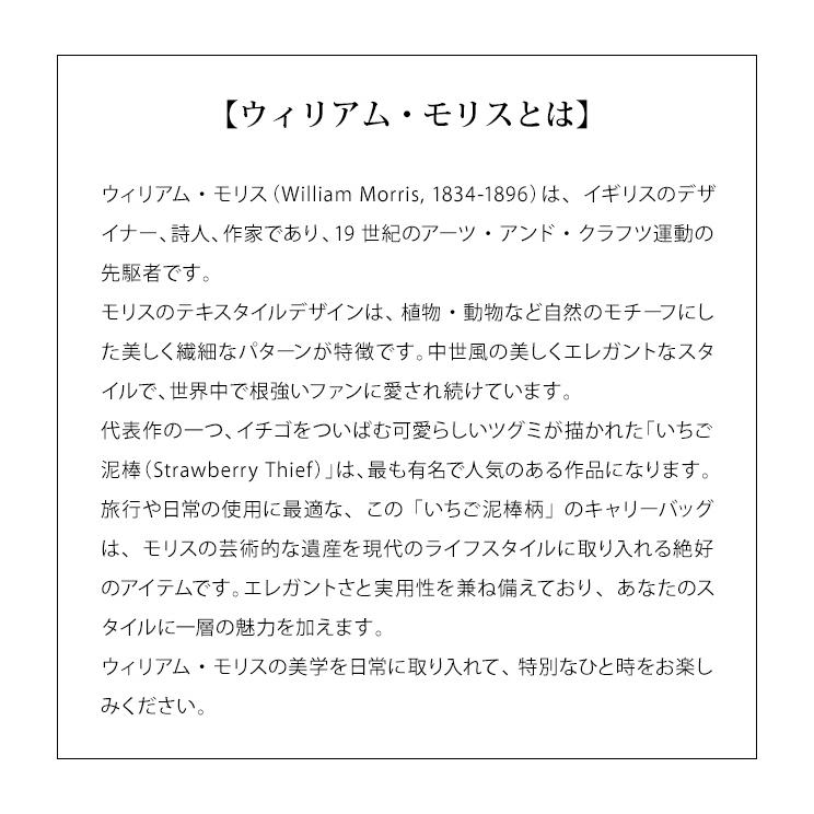 スワニー SWANY ウィリアム・モリス キャリーバッグ ショッピングカート 横押しカート ソフト 機内持ち込み モリスバイスワニー -M18 D-657-M18((su1a244)「C」 | SWANY（キャリーバック） | 15