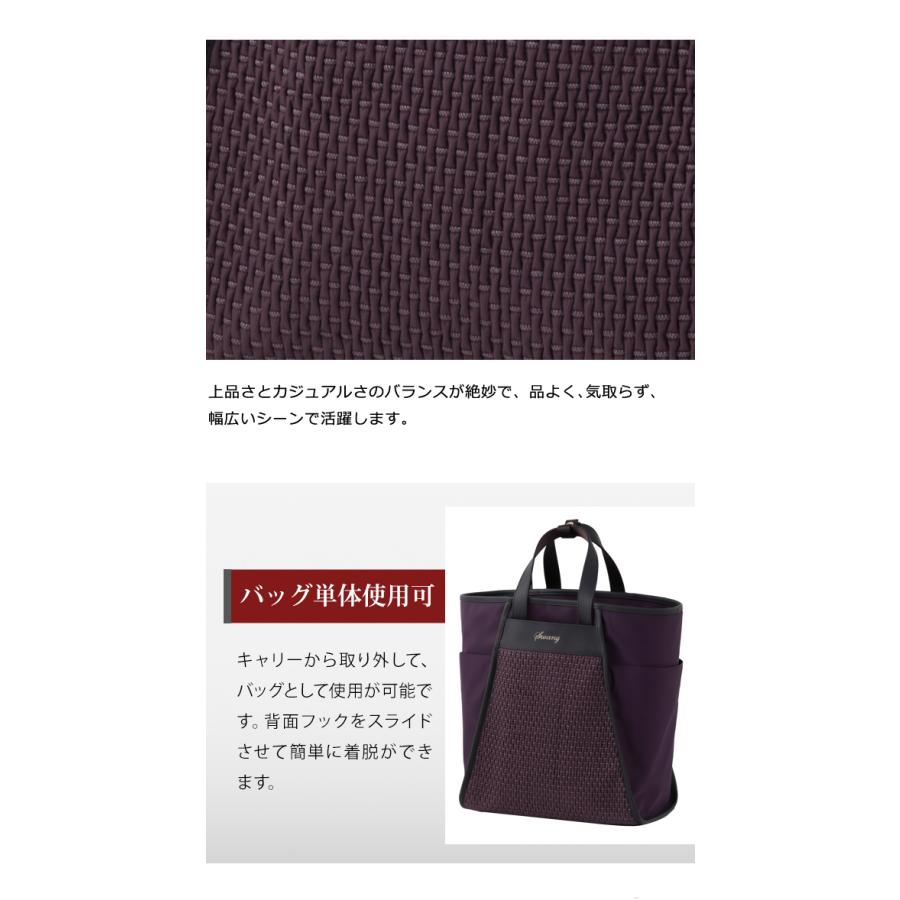 SWANY（スワニー） キャリーバッグ ショッピングカート ソフト