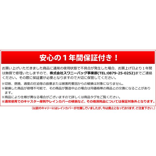 スワニー SWANY B4 キャリーバッグ ショッピングカート ソフト 機内持ち込み トート 男女兼用 ベール D-707-L21(su1a261)「C」 | SWANY（キャリーバック） | 13