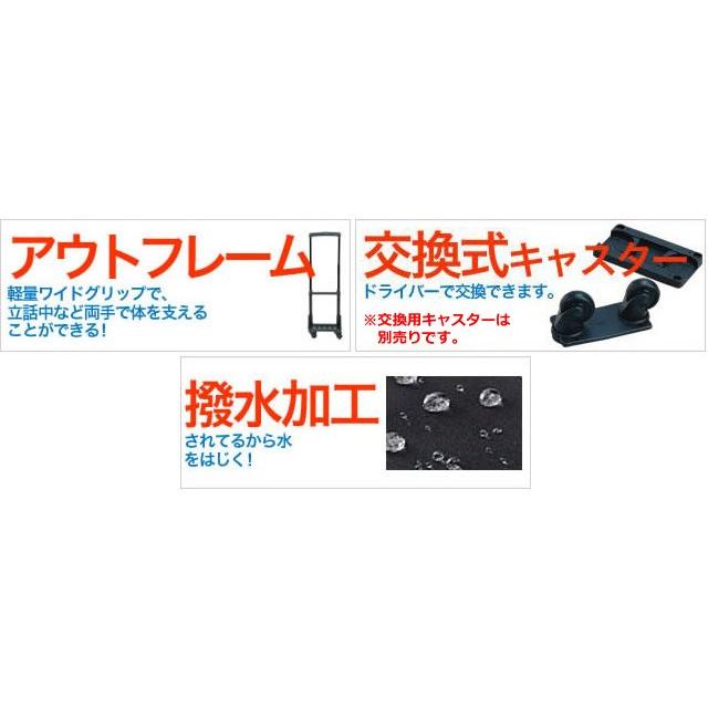 スワニー SWANY B4 キャリーバッグ ショッピングカート ソフト 機内持ち込み トート 男女兼用 ベール D-707-L21(su1a261)「C」 | SWANY（キャリーバック） | 02