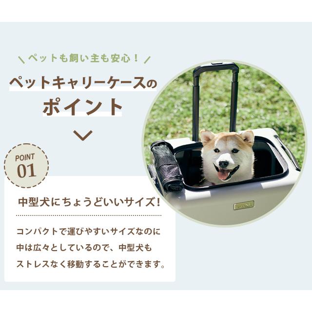 ペットキャリー ペットキャリーバッグ ペットキャリーケース