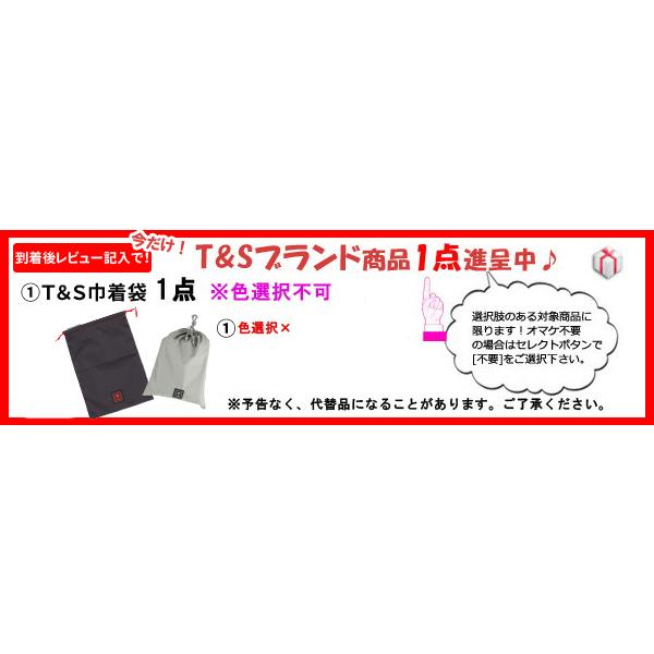 スーツケース キャリーバッグ キャリーケース Lサイズ 容量拡張 ジッパー TSA 5泊 6泊 T\u0026S レジェンドウォーカー DECK ZIPPER PLUS 5514-59 (ti0a275)「C」の画像