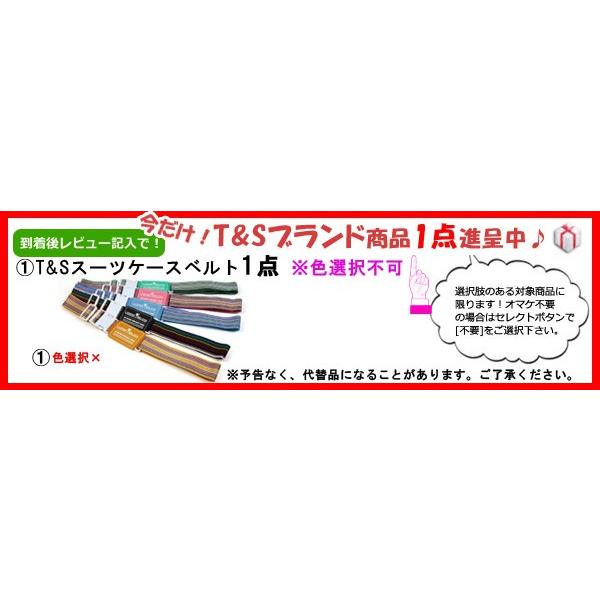 スーツケース キャリーバッグ キャリーケース Lサイズ 容量拡張 ジッパー TSA T\u0026S レジェンドウォーカーグラン BLADE-Ultralight 5604-59 (ti0a300)[C]の画像