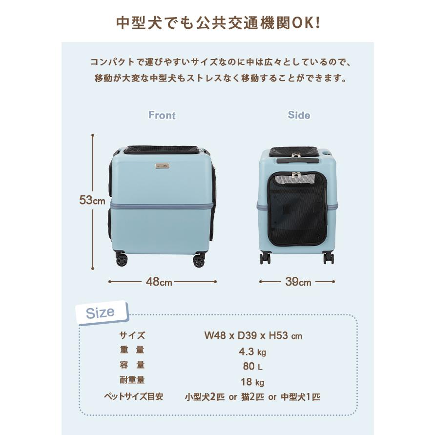 ペットキャリー レインカバー セット Lサイズ ペットキャリーバッグ