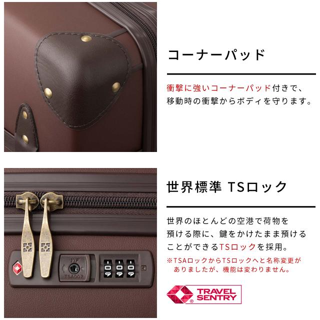 ワールドトランク キャリーケース　トランク　S ブラウン ティーアンドエス トランクケース スーツケース 機内持ち込み S