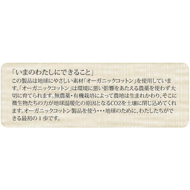 ソロツーリスト旅マクラ エアピロー トラベルピロー 空気枕 オーガニックコットン100％ 日本製 ネックピロー 首枕 solo-tourist (va0a124) |  | 03
