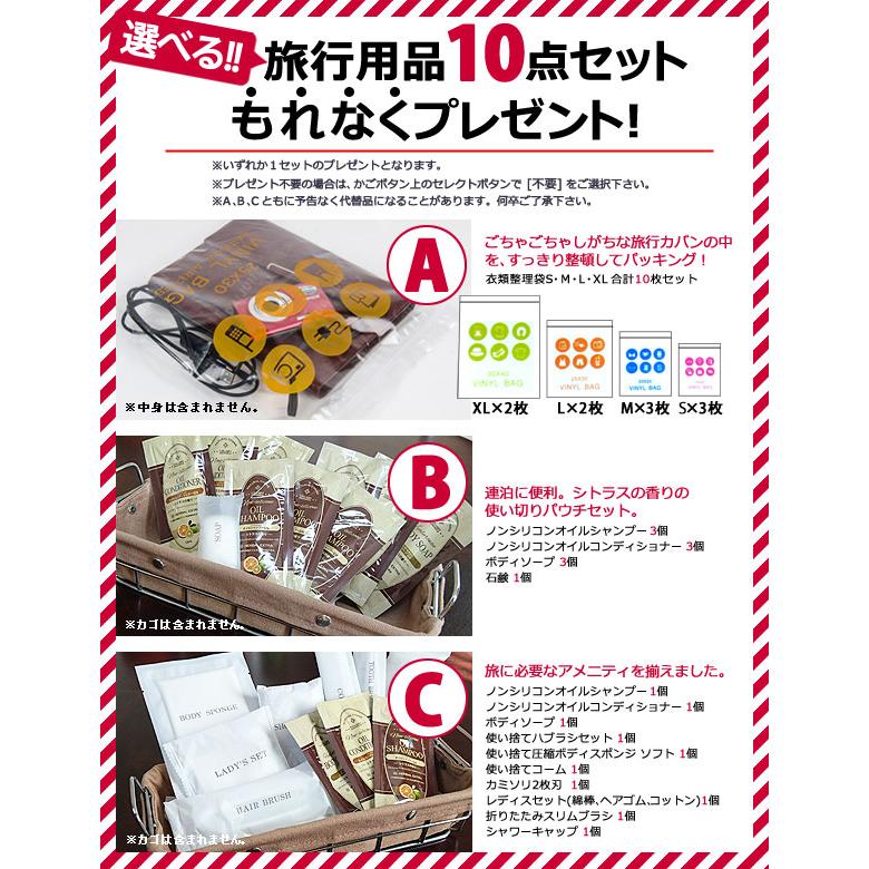 ソロツーリスト アブロードキャリー57 リュックキャリー 背負える キャリーバッグ 57L M ソフト スーツケース バックパック AC-57 solo-tourist(va0a132)「C」 | SOLO_TOURIST | 12