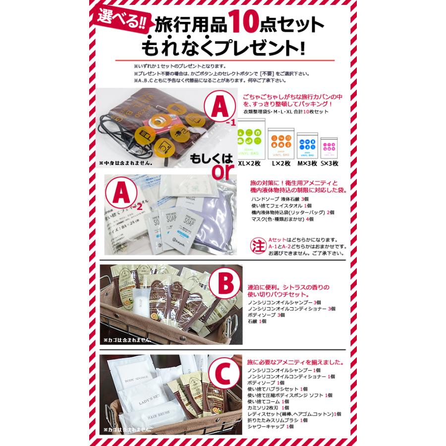 SOLO_TOURIST ソロツーリスト キャリーバッグ リュックキャリー SOLO_TOURIST ソロツーリスト キャリーバッグ リュックキャリー