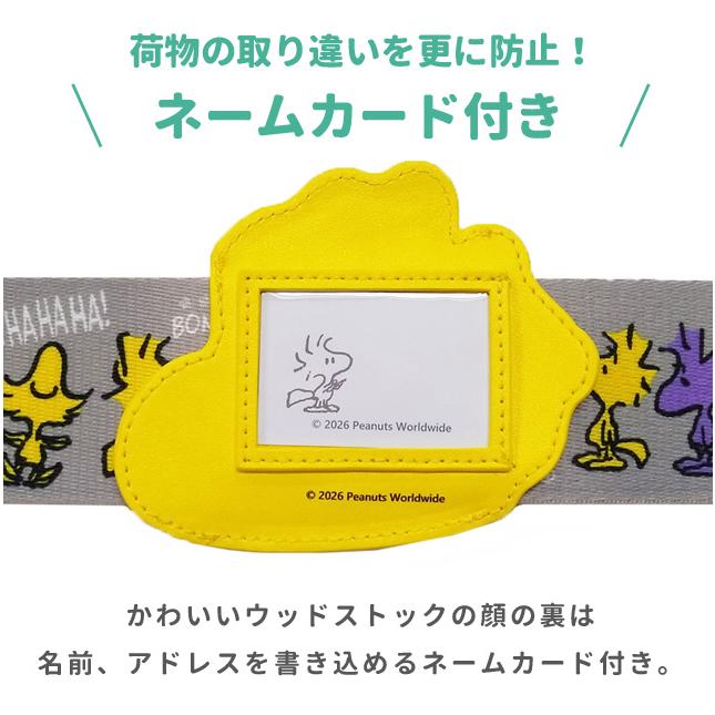 レビュー記入でメール便送料無料」ウッドストック スーツケースベルト