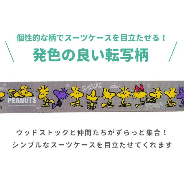 「レビュー記入でメール便送料無料」ウッドストック スーツケースベルト ワンタッチ ネームタグ 名札 かわいい キャラクター 旅行 目印 va1a144-mail(va1a201) |  | 05