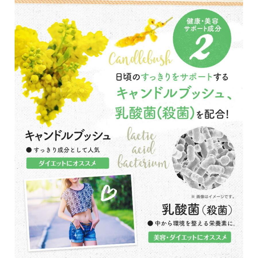 格安saleスタート 3個セット 生酵素 プレミアム 大容量 サプリメント 約100日分 0粒 230種類 植物発酵エキス 酵素 乳酸菌 香酢 老陳酢 キャンドルブッシュ ダイエット 美容 Wantannas Go Id