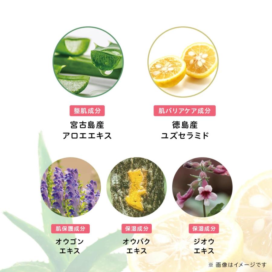 プロアクティブ＋ 《旧モデルのため15%OFF》スキンスムージング