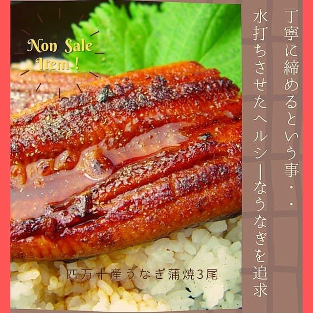 人気特価激安 四万十のうなぎ蒲焼3尾 健康志向 無添加 地下伏流水 プレゼント ギフト 食感 セルフ お取り寄せ 国産 脂肪 打ち水 高知 お中元 数量限定 特売 Www Muslimaidusa Org