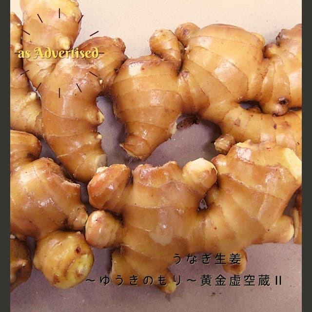 うなぎ生姜6瓶【ご飯のお供 マツコ 6瓶 黄金生姜 瓶詰 ギフト 取り寄せ うなぎ生姜 佃煮 ごはんのおとも ご飯の友 年賀 プレゼント　酒のあて お返し 鰻 高級】