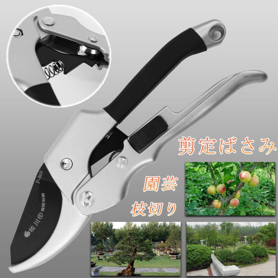 剪定ばさみ Sk5 園芸はさみ 剪定 ばさみ 強力 はさみ ハサミ 花ばさみ さびない スチール 30mm 園芸用はさみ 小型 庭仕事 木 枝分け 小枝 きり 家庭菜園 ブランドのギフト