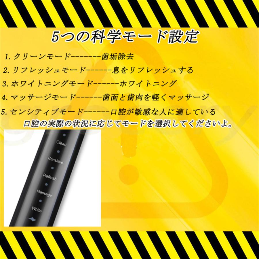 電動歯ブラシ ソニック 5つのモード 替えブラシ5本 防水 オートタイマー機能 21公式店舗