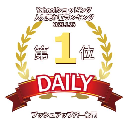 【25日はポイント10%+クーポン配布】グロング プッシュアップバー 腕立て伏せ 筋力トレーニング ブラック GronG 爆買 | GronG | 09
