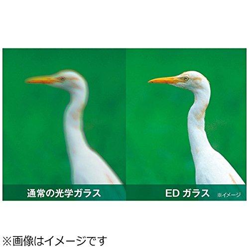 ケンコー・トキナー アバンター 8倍×25mmED双眼鏡 AVT-0825ED 8倍