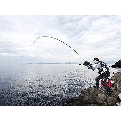 シマノ(SHIMANO) 磯竿 20 ライアーム 1.7号 500