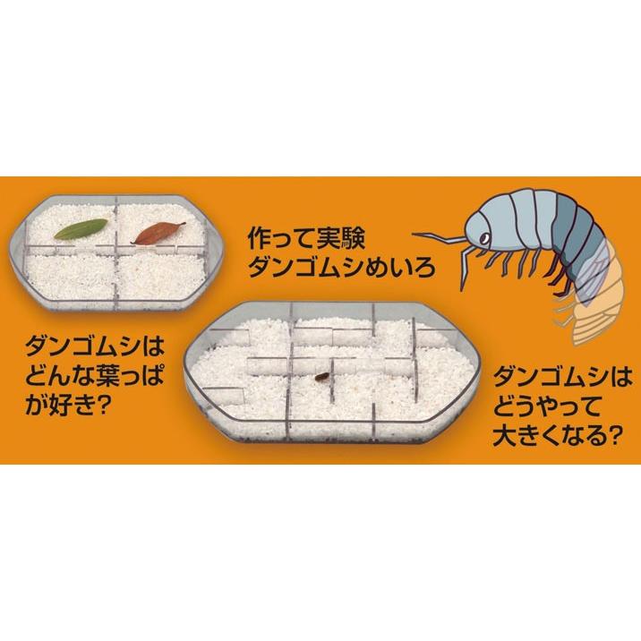 理科実験キット ダンゴムシのヒミツ観察キット 自由研究 自由工作 1年生 ２年生 低学年 At グルーヴプラン Yahoo 店 通販 Yahoo ショッピング